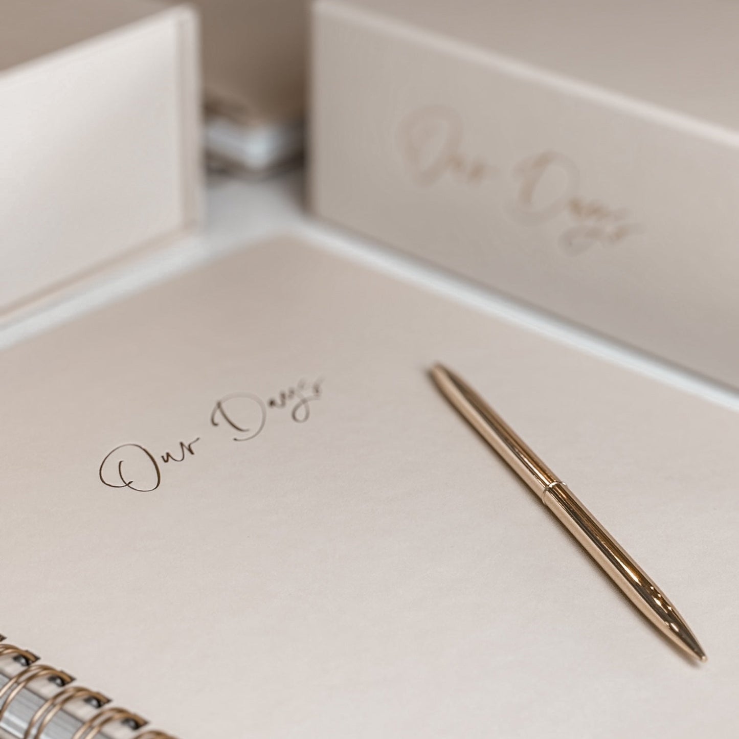 Our Days Family Journal Capsule