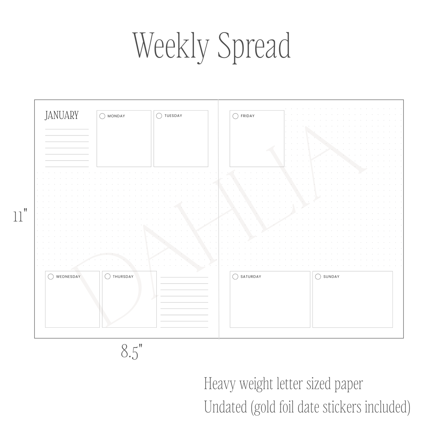 Our Days Family Journal Capsule