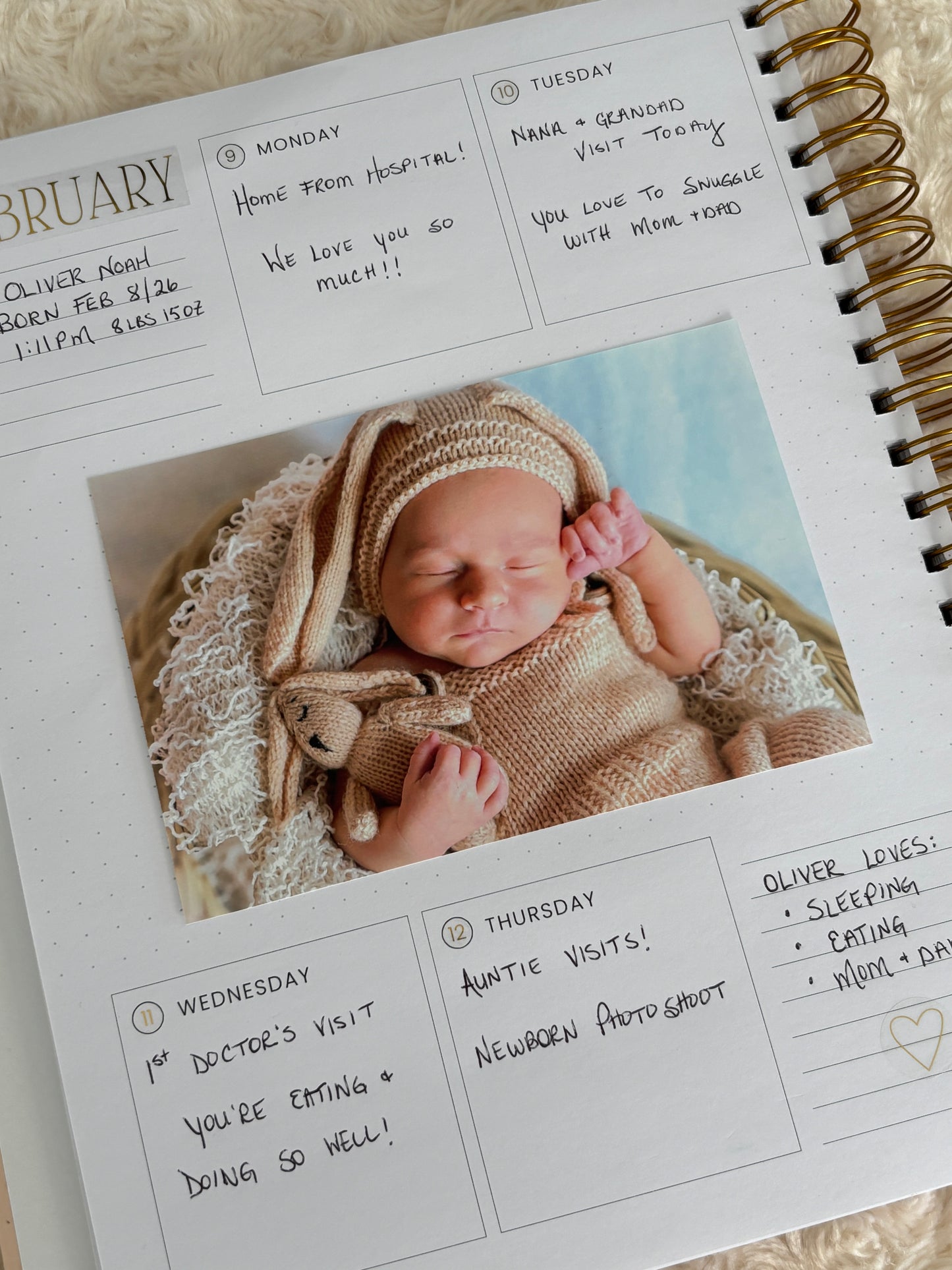 Our Days Family Journal Capsule